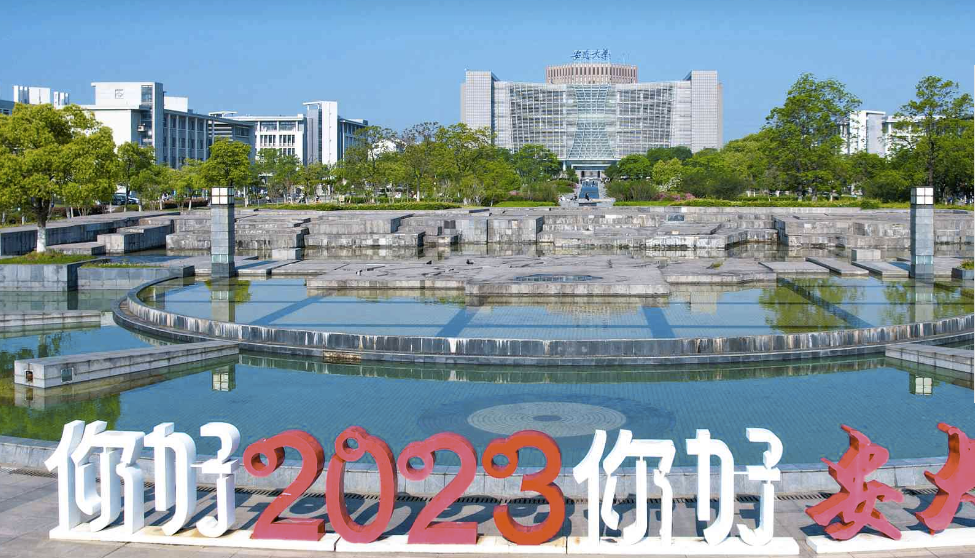 image-20231012184725900